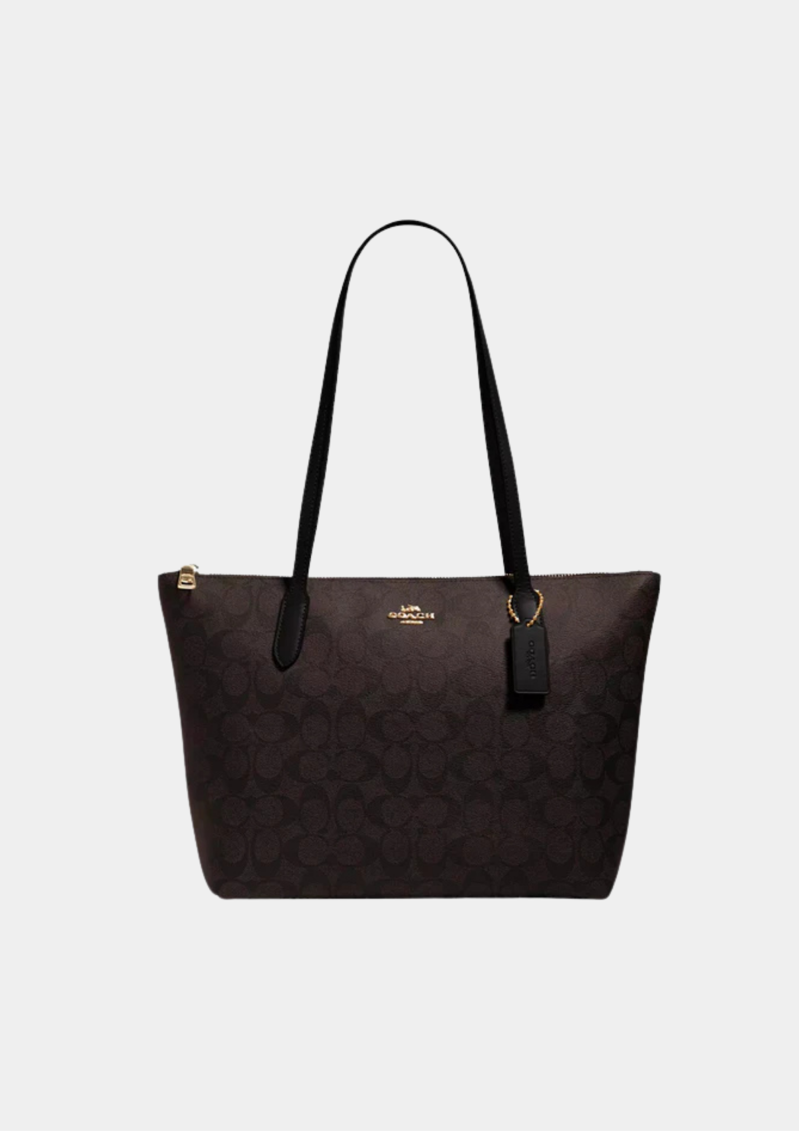 Coach Mollie 25 TOTE BAG