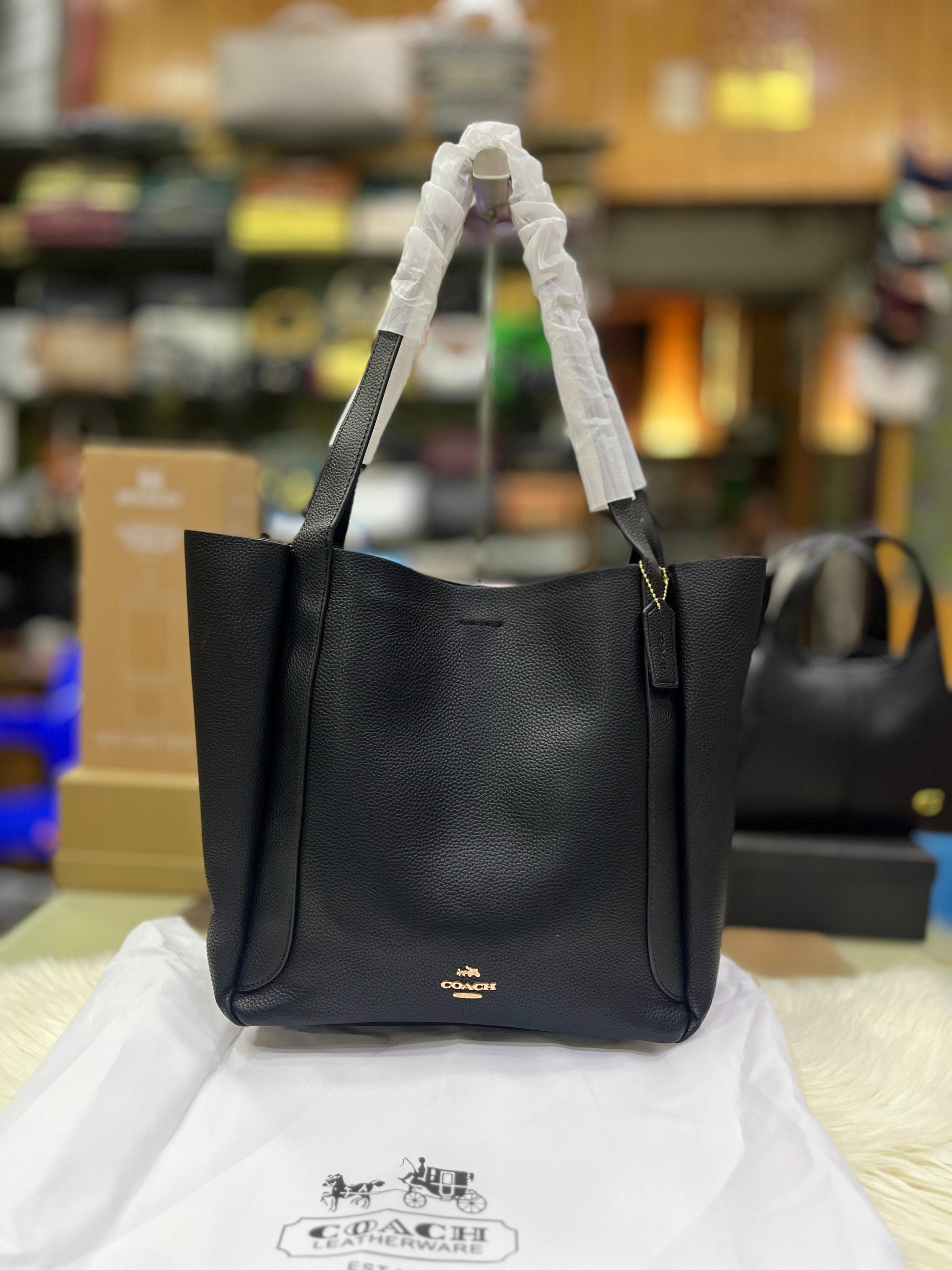 COACH HADLEY TOTE BAG