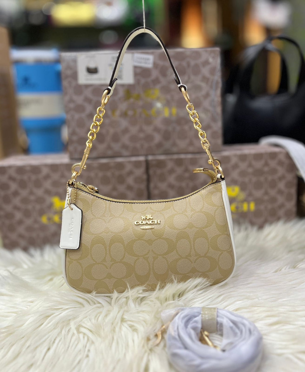 COACH SHOULDER BAG IN SIGNATURE CANVAS