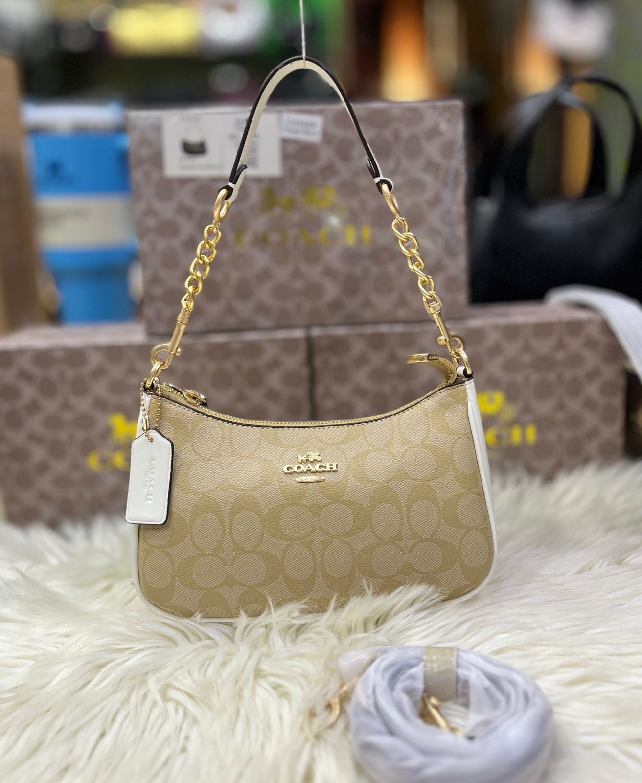 COACH SHOULDER BAG IN SIGNATURE CANVAS
