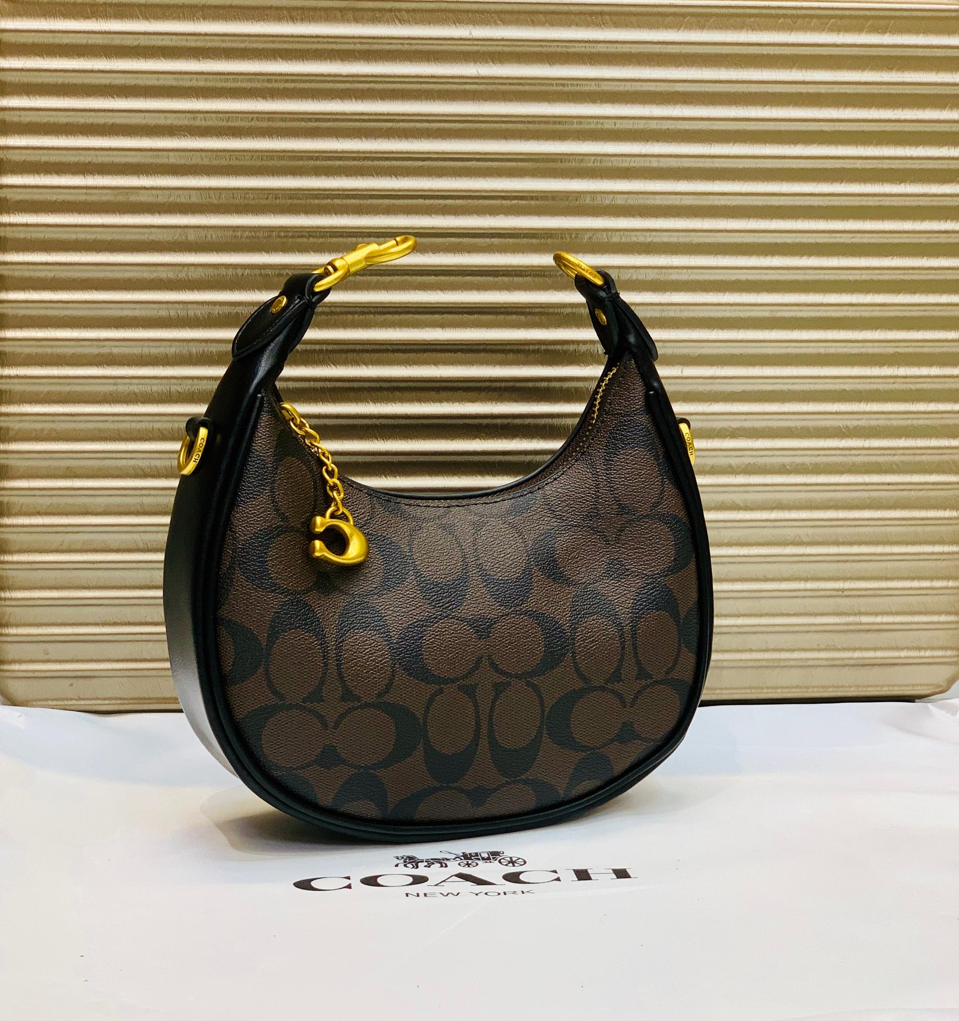 COACH MOON SHAPE CROSSBODY BAG