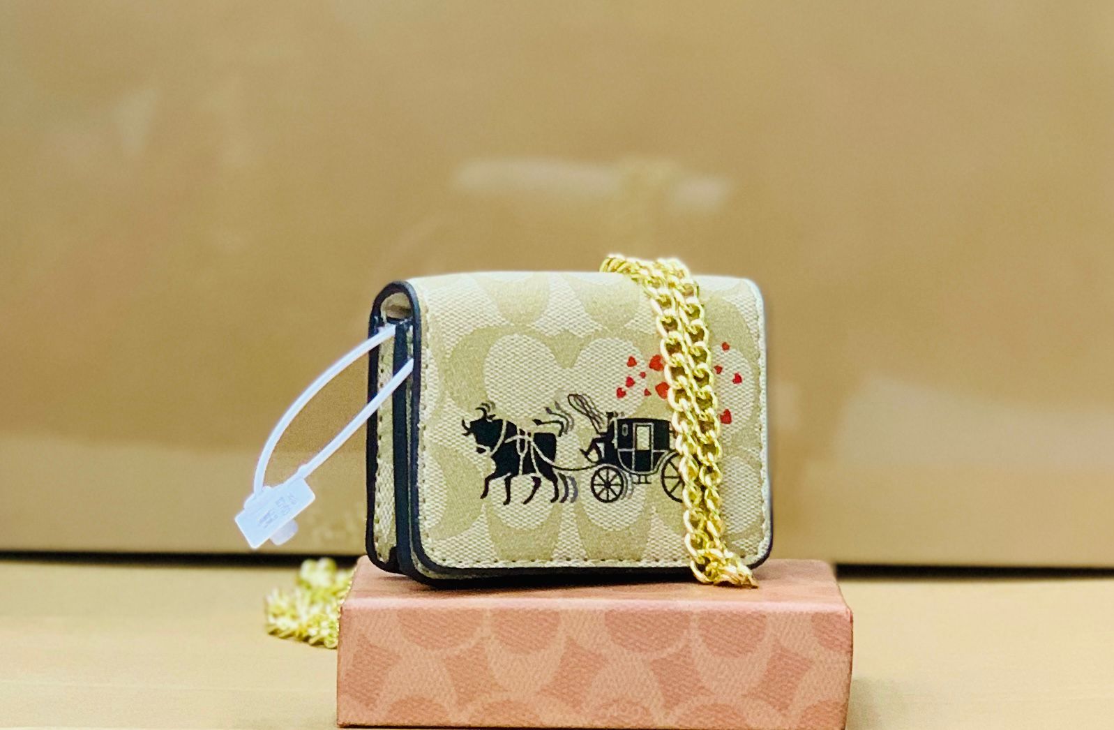 COACH MINI HAND BAG