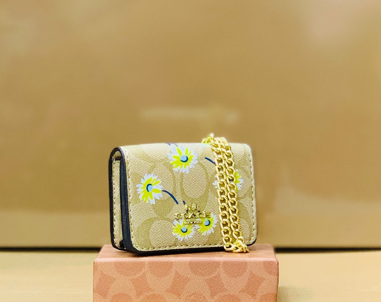COACH MINI HAND BAG